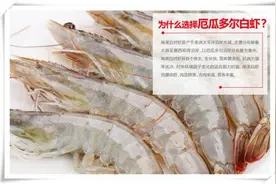 被多次检查出存在新冠病毒，但现在是吃厄瓜多尔虾最好的时候图片