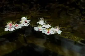 独坐花下狂想宇宙密码，你知道142857的玄妙吗？图片