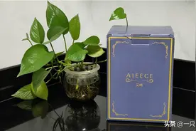 一杯在手，养生不愁-AIEECE艾晞mini养生搅拌杯图片