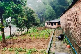 耕地建房乱象多，农业农村部：4大举措实施，乱占耕地要处罚图片