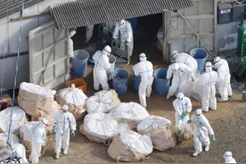 史上“最可怕”病毒：埃博拉卷土重来，2020真的是“灾难年”吗？图片