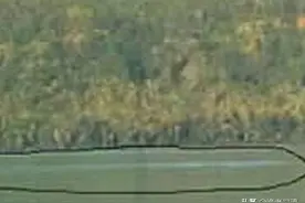 喀纳斯湖大红鱼体长124米？哲罗鲑真的能长这么大吗？图片