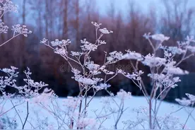 中国现代著名作家张天翼简介图片