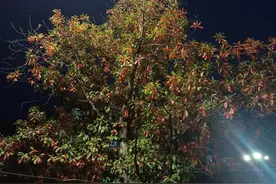 遇到向你抱怨公公不好的婆婆，你们是怎么处理的呢？图片