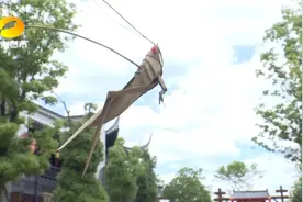 一代“棕”师！“长沙三绝”之一棕编，无声世界磨砺指尖匠心，非遗传承，有味发现图片