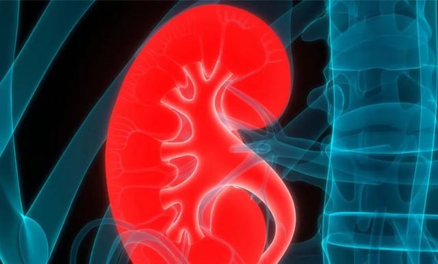 透析后营养不良是什么原因，有哪些方法预防、改善这一状况？