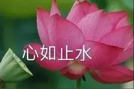 纪录片《是这样的，法官》一点感想图片