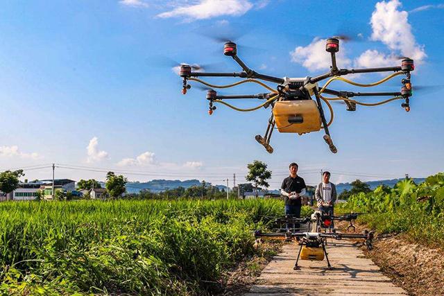 鍏ㄨ惀鍏绘皑鍩洪吀鍙堕潰鑲ワ紝鑷繁鍦ㄥ灏辫兘閰嶏紝涓€瀛ｇ敤3娆＄敤鍚庝骇閲忕炕鍊? onerror=