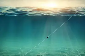 风靡一时的无铅自立漂钓法！那么无铅自立漂钓法到底强在哪里？图片