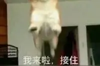 记单词app测评又来啦！图片