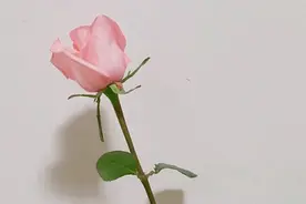 男生的3个要求，你越是拒绝，他往往越爱你图片