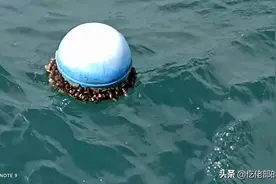 靠烧香祷告生存的船舶图片