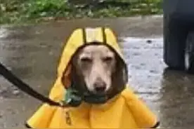降雨持续！小雨！中雨！大雨图片