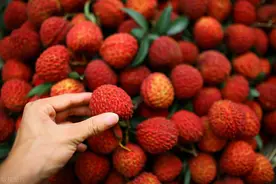 荔枝增产36%，价格跌到10元4斤，龙眼更嚣张，行情会更差？图片