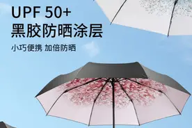 太阳伞可以当雨伞用吗？图片