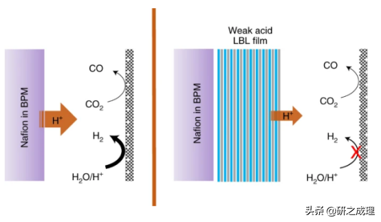 催化周报：Nat. Catal.、Nat. Energy、Nat. Chem.等大合集！