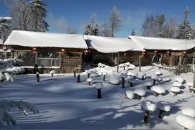 北国的雪（北国之行随笔之终篇）图片