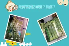 吃蒜苔能防感冒防血栓防癌？莫信图片