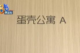 租房要求没有狗，结果隔壁养了很大一只图片