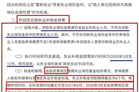 好消息！6个月失业补助金实施细则发布，青岛官方划出重点图片