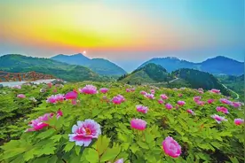 区县文旅精品荟 垫江篇｜​心泊牡丹故里 梦栖云畔垫江图片