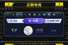 PDD和梦泪两人粉丝破亿，旗下更有Uzi大司马，小象大鹅真给力图片