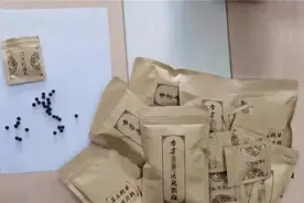 浙江破特大网络诈骗案：民营医院院长与犯罪团伙勾结行骗过亿图片