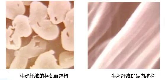 “牛奶丝”到底是个什么鬼