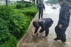 暴雨中，这些感人瞬间……图片