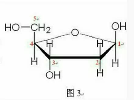 《宇宙的秘密全部揭开（二十四）分子生物学》