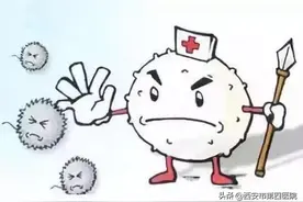 #健康科普汇#【血常规检查中的“小秘密” ——  是否感染看白细胞增多或减少 】图片