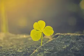 做人，与其生气，不如争气图片