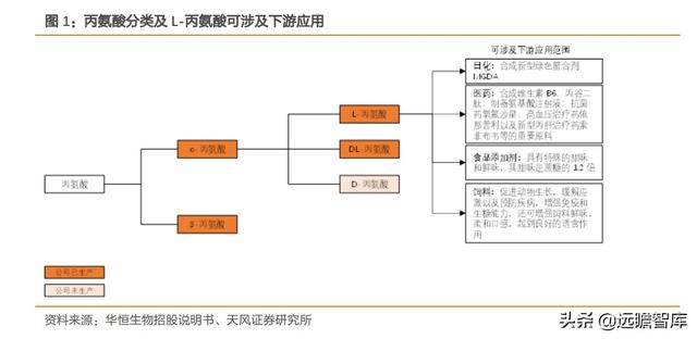 化工行业研究：L-丙氨酸，技术变革催生需求增长，龙头优势显著