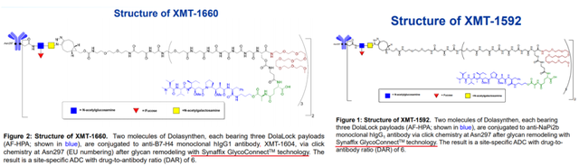 多项授权合作，Synaffix公司ADC专利技术解析