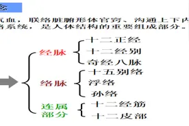 中医健康养生之人体十二经脉简介图片