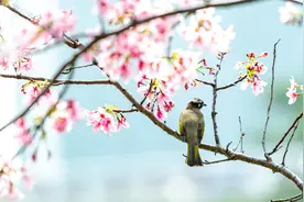 有一种深爱，叫“各自安好”图片