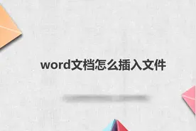word文档怎么插入文件图片