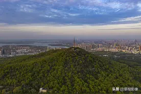 小小大蜀山，被合肥人玩出黄山的感觉，满山果实无人摘图片