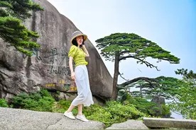 黄山迎客松是棵假树？800多年保持同一造型，警卫24小时轮流守护图片