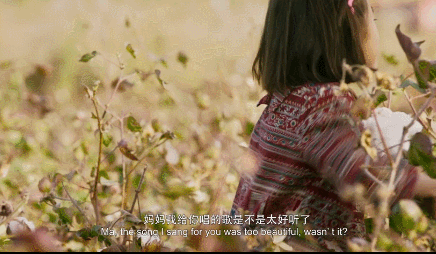 ��13����Ƭ������һ����Ӱ�ڣ������и���