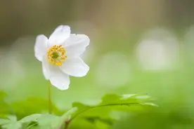 一个女人敢交给你这些东西，其实是爱你到了骨子里图片