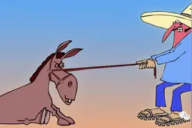 为什么领导认为你很固执？图片