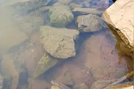 水清则无鱼，有鱼则难钓？注意细节及垂钓技巧，鱼获自然不会少！图片