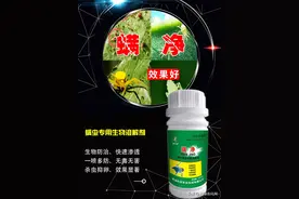 铲除抗性螨虫！“新型生物”配方！成若螨通杀，用一次管20天以上图片