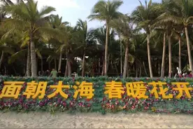 为什么要在海口市购房？图片