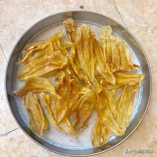 公花胶的功效是什么 2026年花胶公和花胶有什么区别