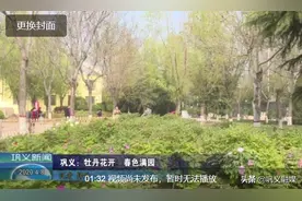 学习强国：巩义牡丹花开 春色满园图片