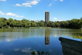 “人手一本”了？法考证越来越不值钱了吗？图片