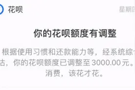 花呗额度被调低至3000元以下，你被“调整”了吗？图片