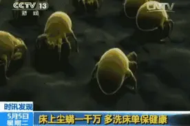 每天600万只螨虫与你同床共枕，只要这几招，螨虫全灭光图片